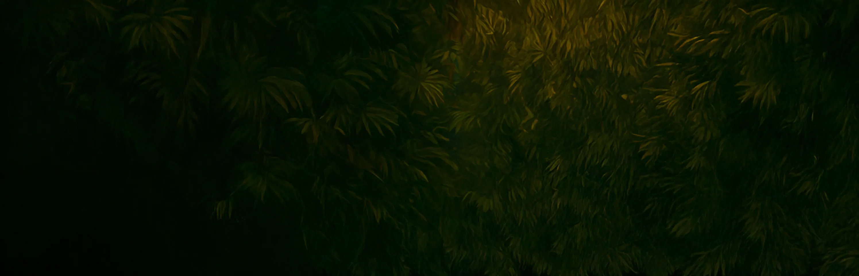 Willkommen bei Pflegepfadfinder